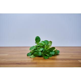 feldsalat (freiland)