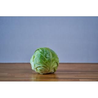 junges weißkraut
