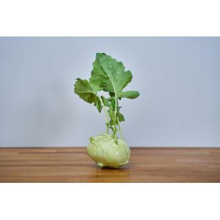 kohlrabi hell