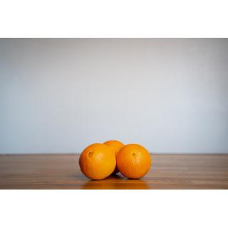 orangen ''valencia''